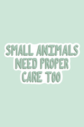 Small Animals Need Proper Care Too Print