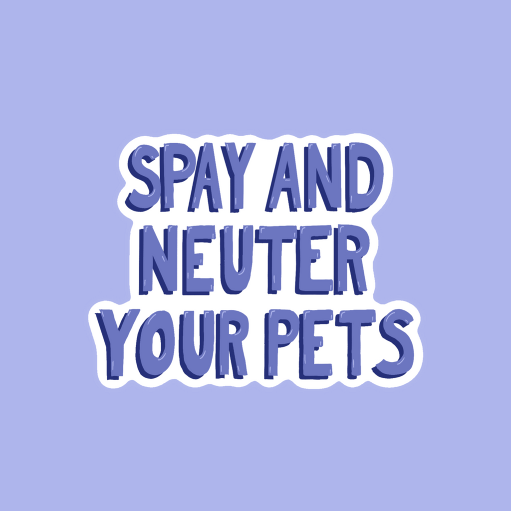 A rectangular graphic with a light lavender background and the phrase 'SPAY AND NEUTER YOUR PETS' in bold blue letters with a white outline, centered on the image.